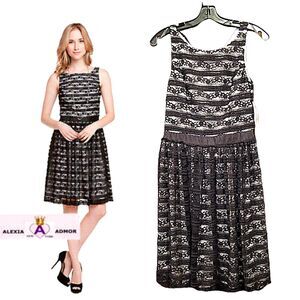 ALEXIA ADMOR NEW Lace Grosgrain Ribbon Sleeveless Fit&Flare Dress XS
